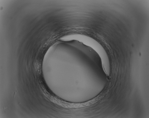 X0000084020031200703161751