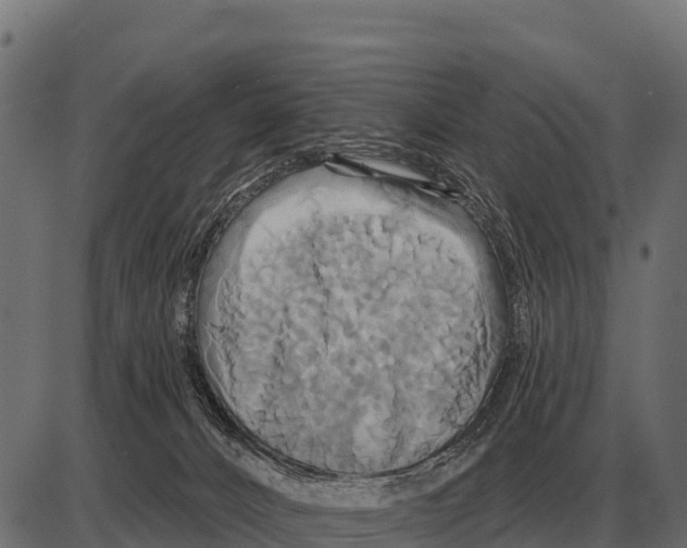 X0000084020032200703161751