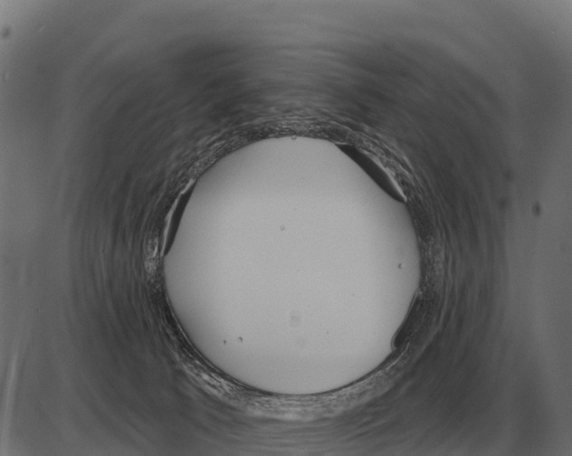 X0000084020033200703161751