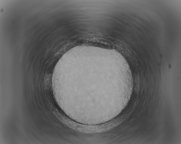 X0000084020034200703161751