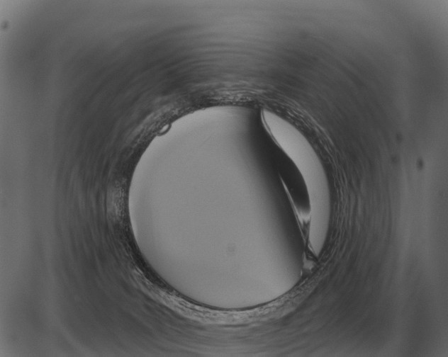 X0000084020035200703161751