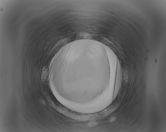 X0000084020036200703161751