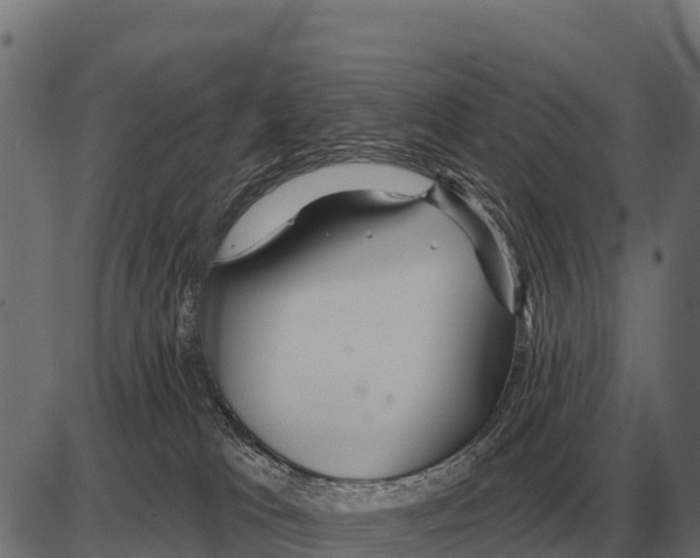 X0000084020037200703161751