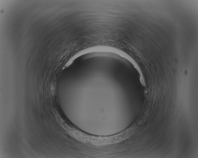 X0000084020039200703161751