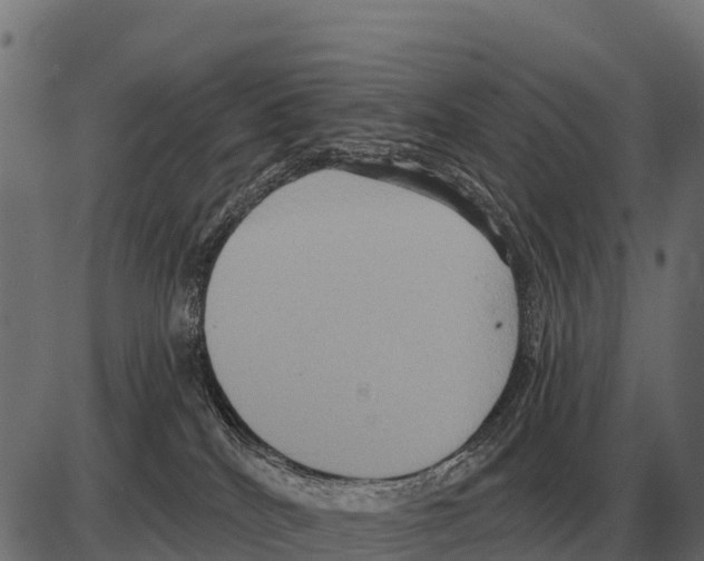 X0000084020040200703161751