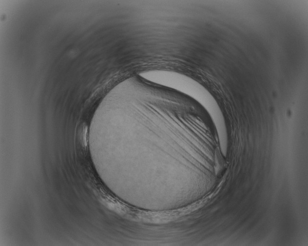 X0000084020041200703161751