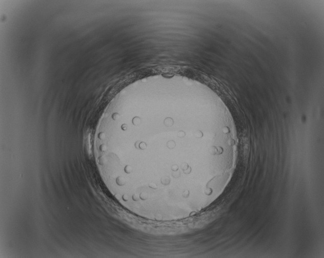 X0000084020042200703161751