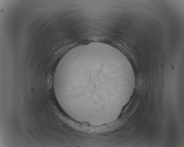 X0000084020043200703161751