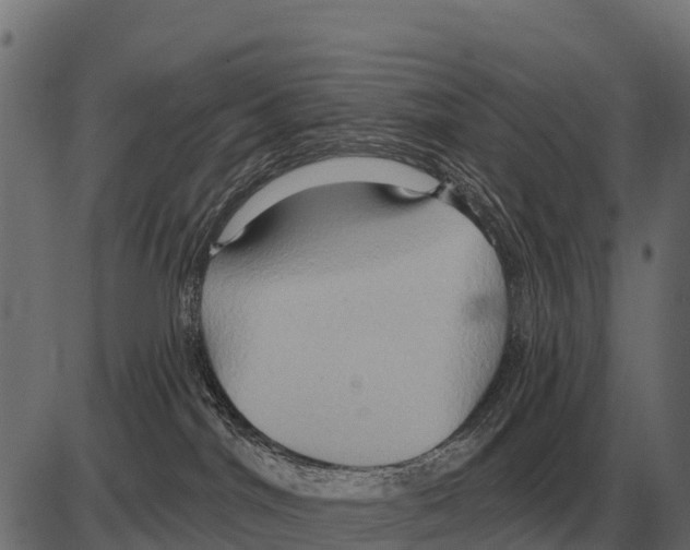 X0000084020044200703161750