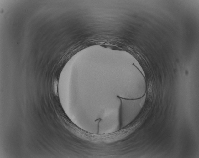 X0000084020046200703161750