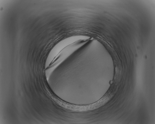 X0000084020048200703161750