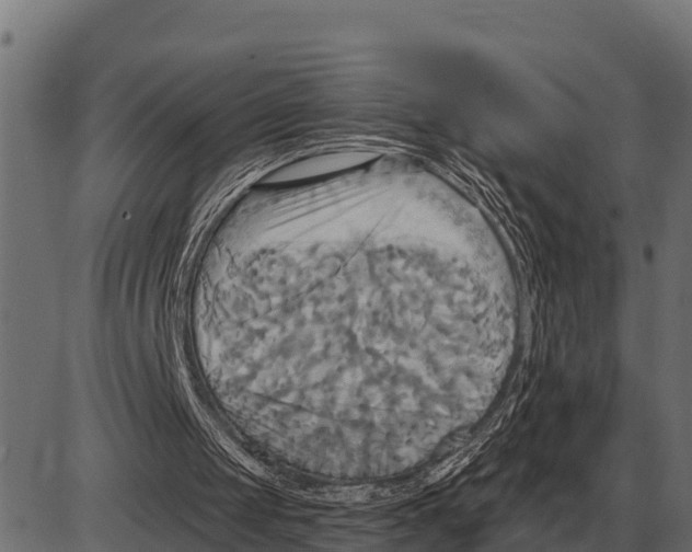 X0000084020049200703161750