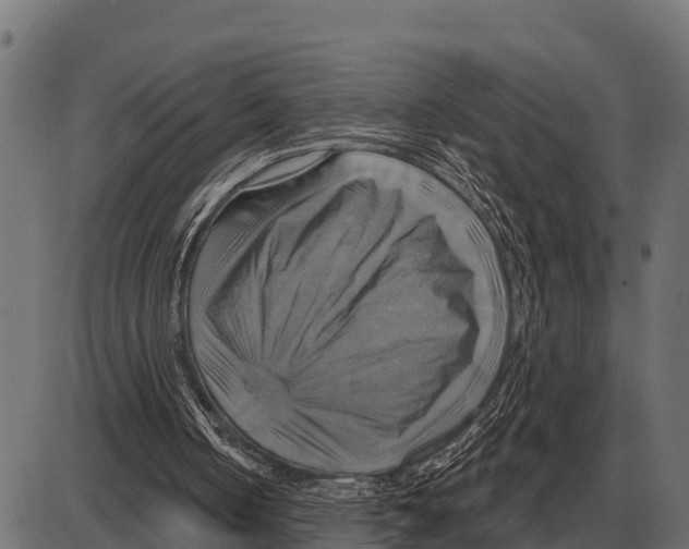 X0000084020050200703161750