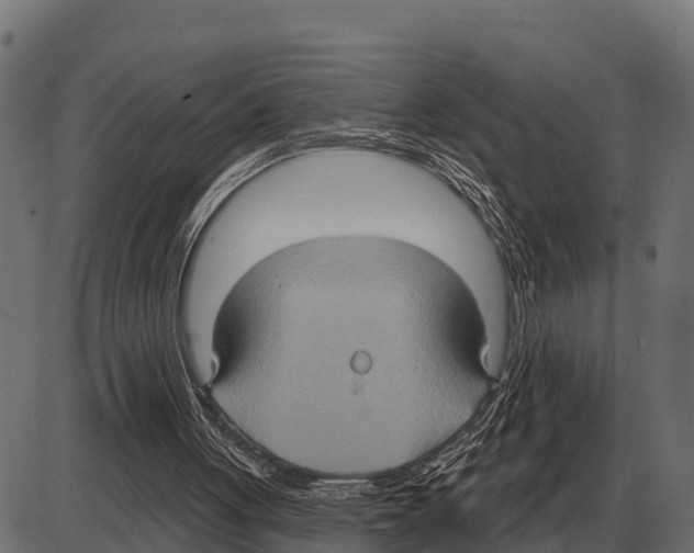 X0000084020051200703161750