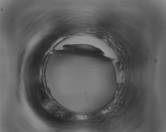 X0000084020052200703161750