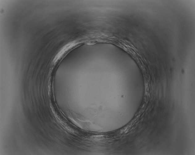 X0000084020054200703161750