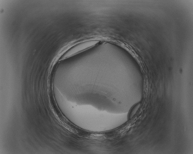 X0000084020055200703161750