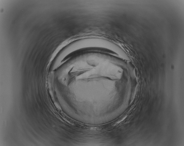 X0000084020056200703161750