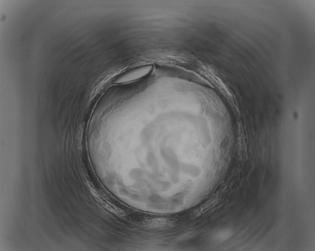 X0000084020058200703161750