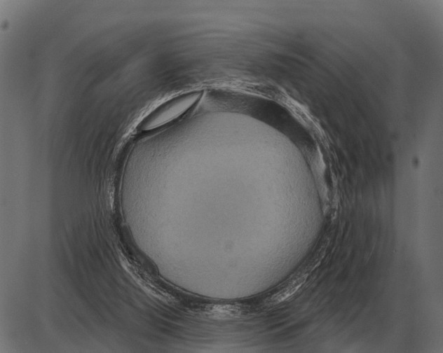 X0000084020060200703161750