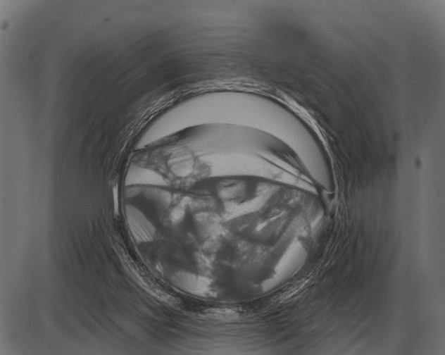 X0000084020061200703161750