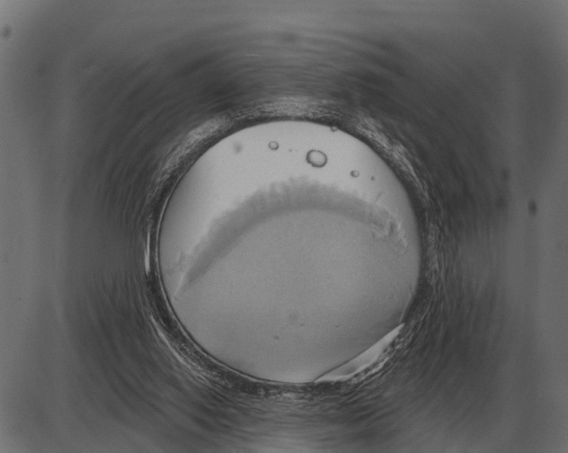 X0000084020062200703161750