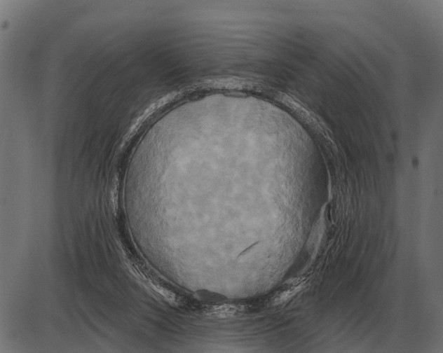 X0000084020064200703161750