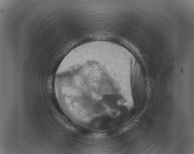 X0000084020065200703161750