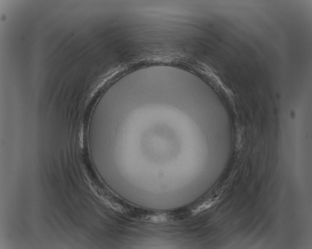 X0000084020068200703161750