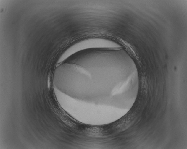 X0000084020069200703161750