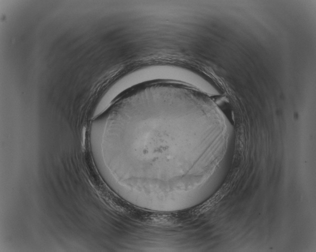 X0000084020070200703161750