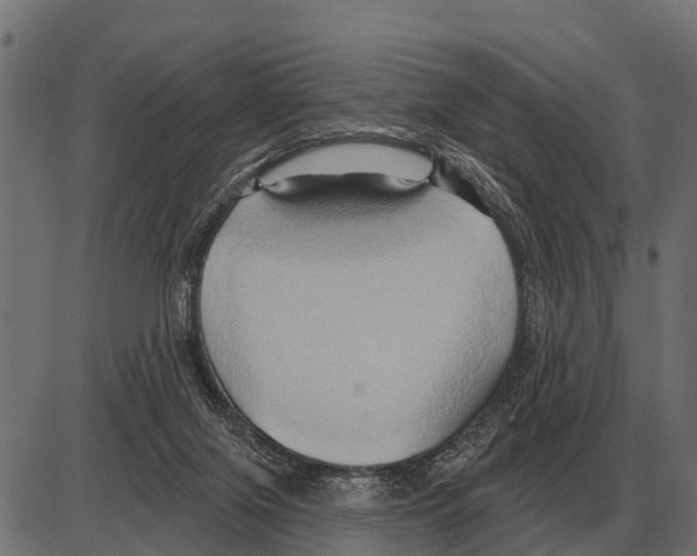 X0000084020071200703161750