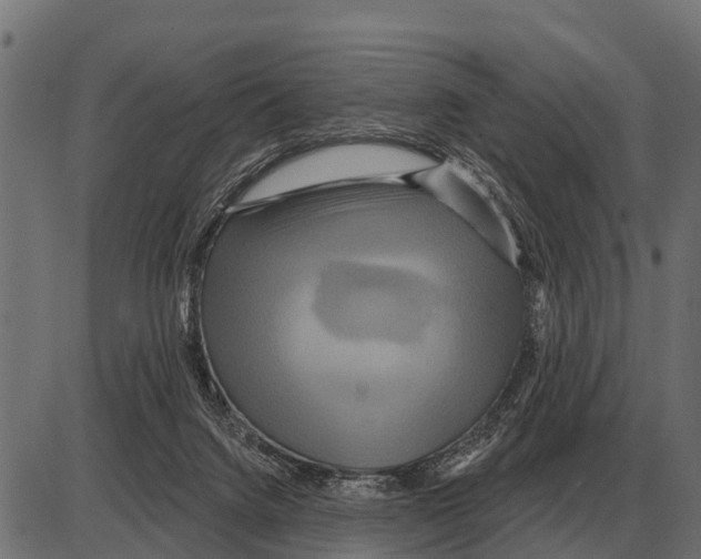 X0000084020072200703161750