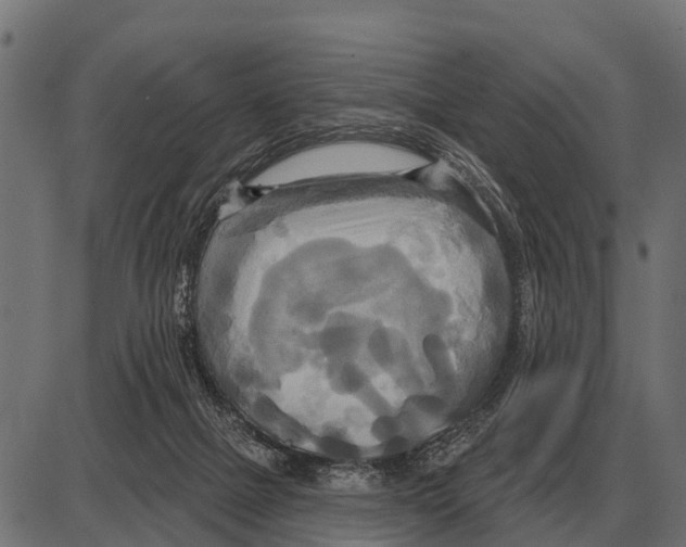 X0000084020073200703161750