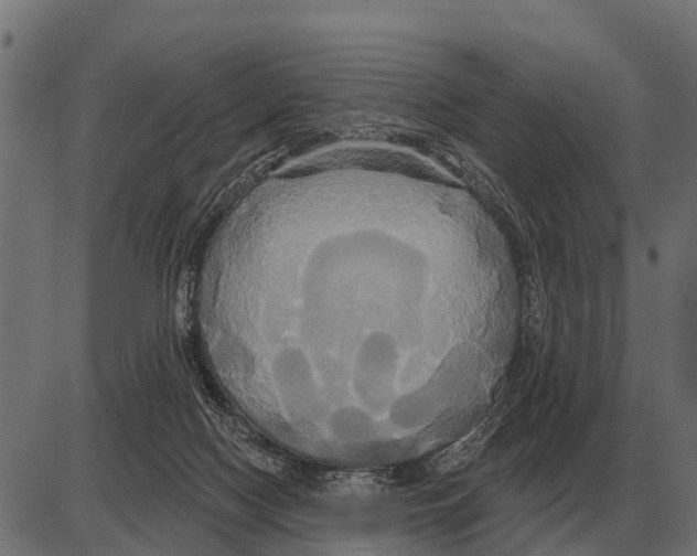 X0000084020074200703161750