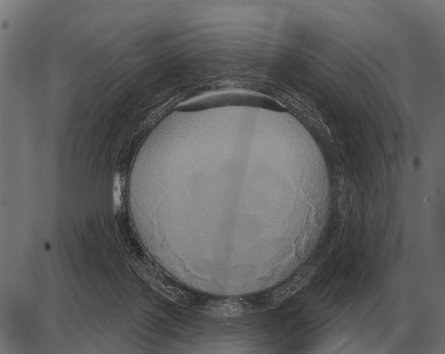 X0000084020075200703161750