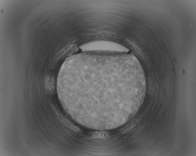 X0000084020077200703161750