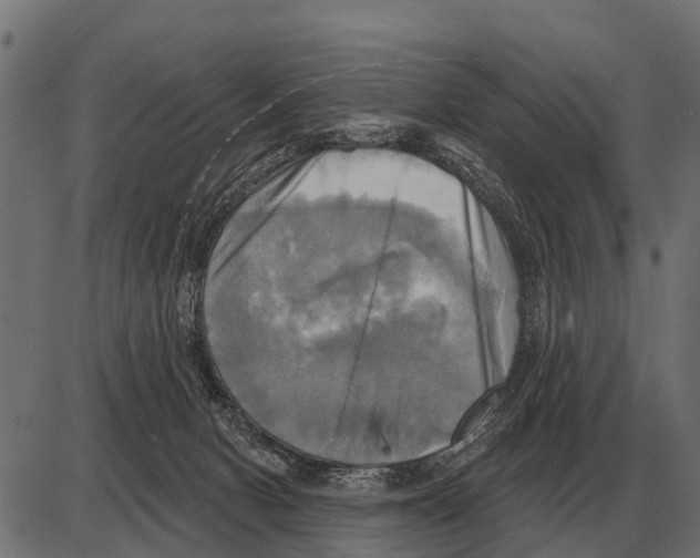 X0000084020078200703161750