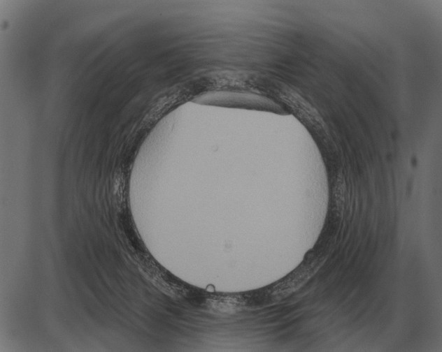 X0000084020079200703161750