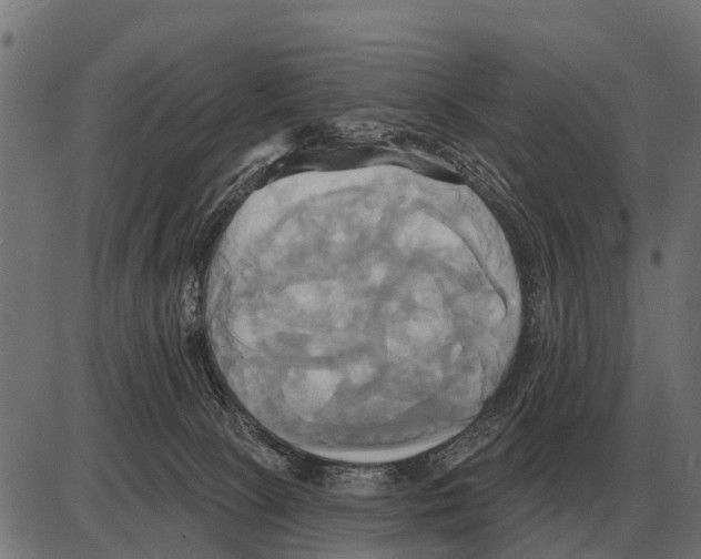 X0000084020081200703161750