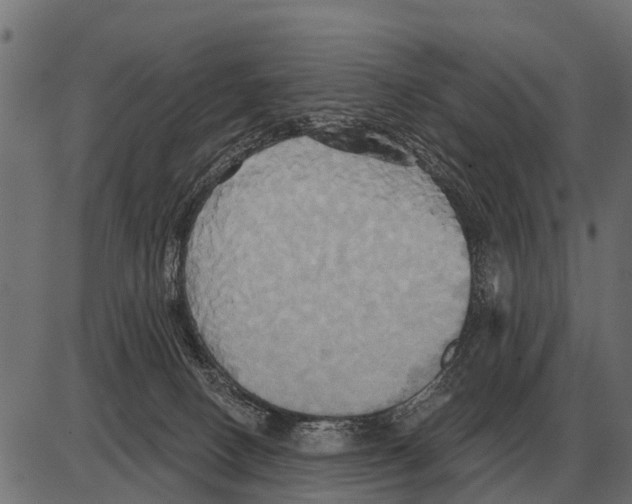 X0000084020082200703161750