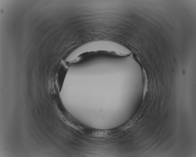 X0000084020084200703161750