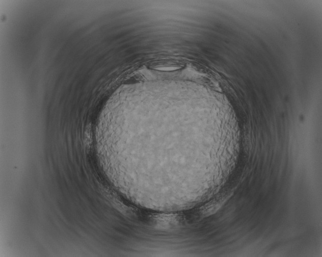 X0000084020085200703161750