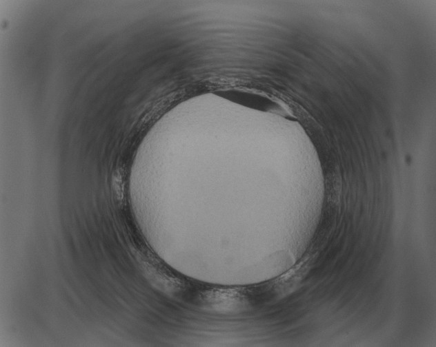 X0000084020086200703161750