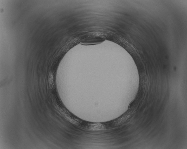 X0000084020087200703161750