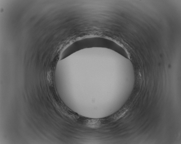 X0000084020088200703161750