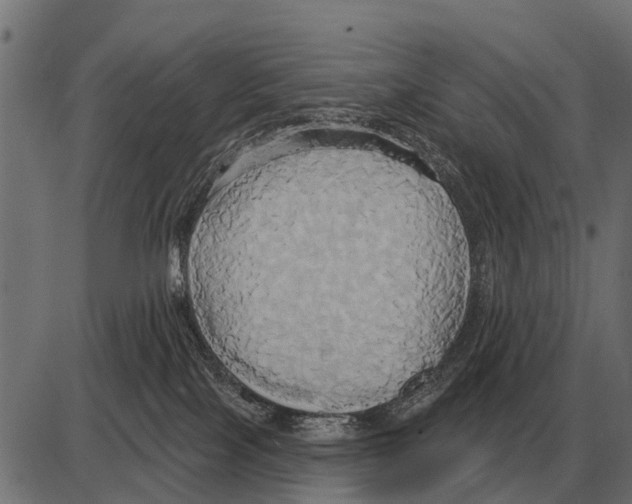 X0000084020089200703161750