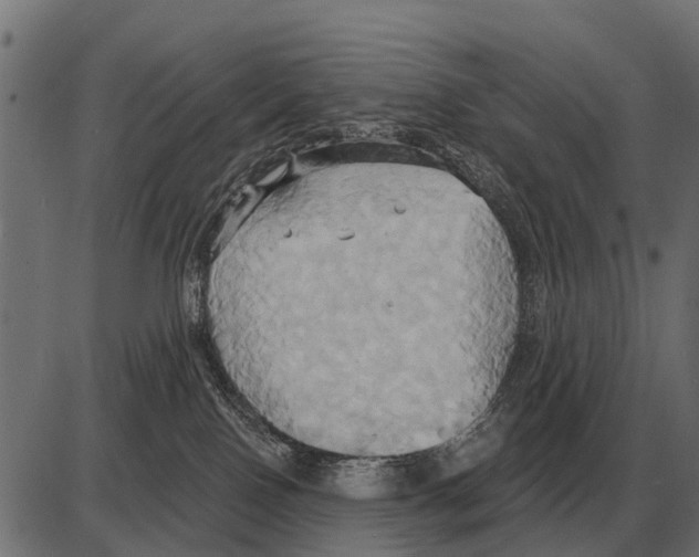 X0000084020090200703161750