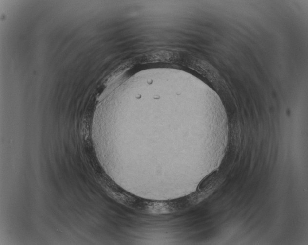 X0000084020091200703161750