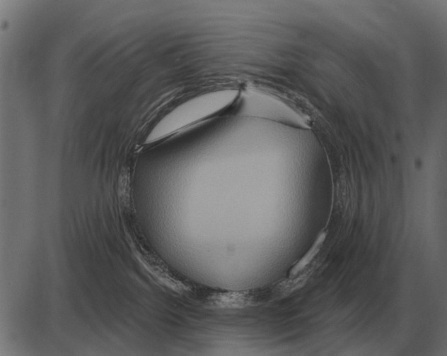 X0000084020092200703161750